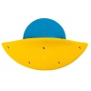 Dolphins_01_J