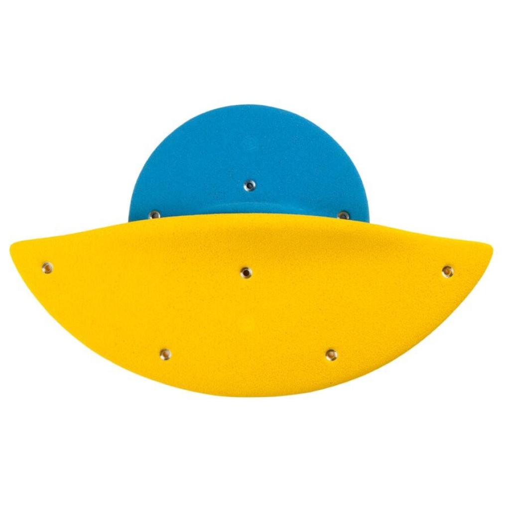 Dolphins_01_J