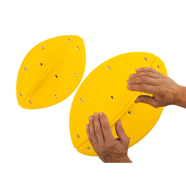 Dolphins_03_A_Hand